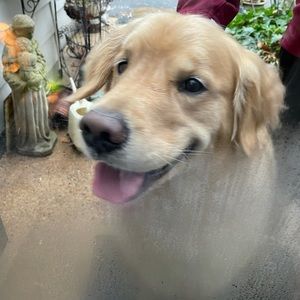 Meet your Posher, Pam